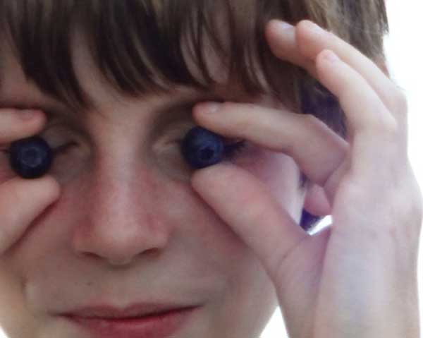 Blåbär framför ögonen - blåbär motverkar ålderförändringar i ögat.