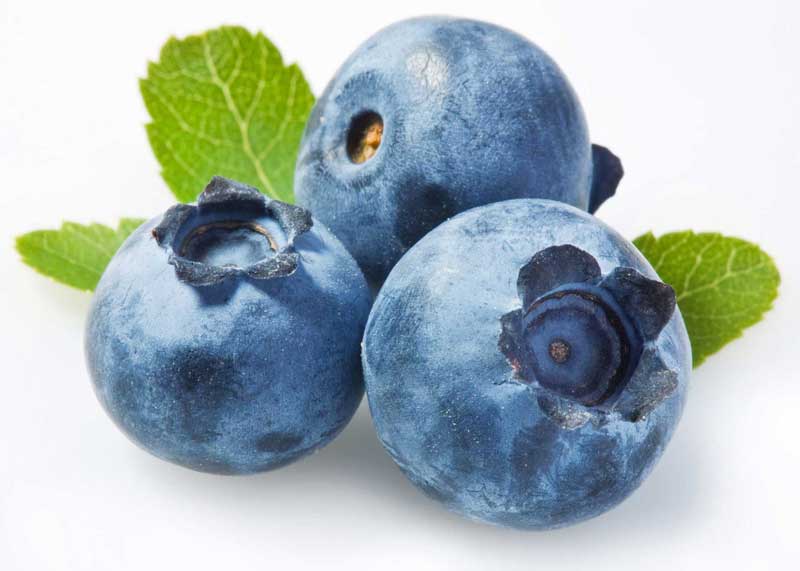Tre blåbär - blåbär förebygger åldersrelaterade sjukdomar i ögonen.