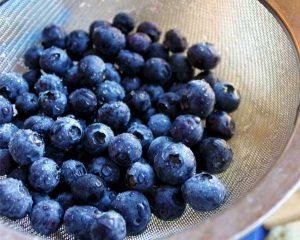 Blåbär i skål - blåbär mot fetma, minskar sötsug och sänker blocksockernivån.
